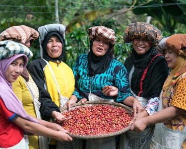 Indonesian Sumatra Indonesian Sumatra