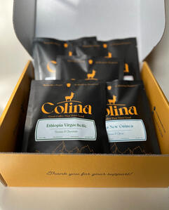 Five Region Sample Pack