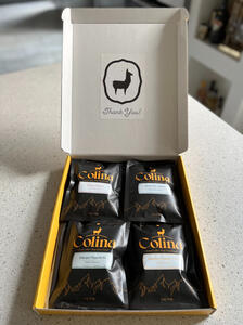 Five Region Sample Pack